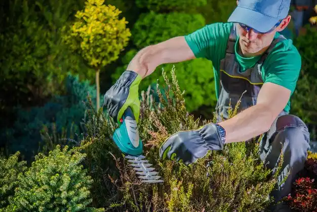 landscaping services Copiague